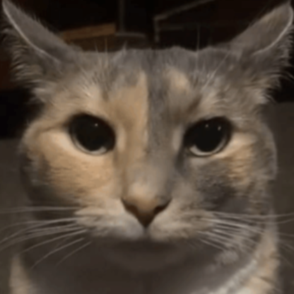 MarekBohovic's avatar