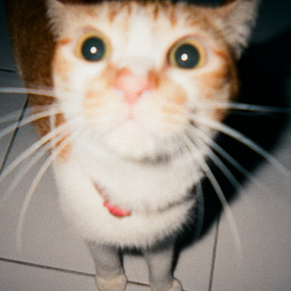 blakeeeyyyy's avatar