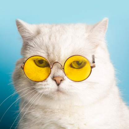 LordLuminosity's avatar