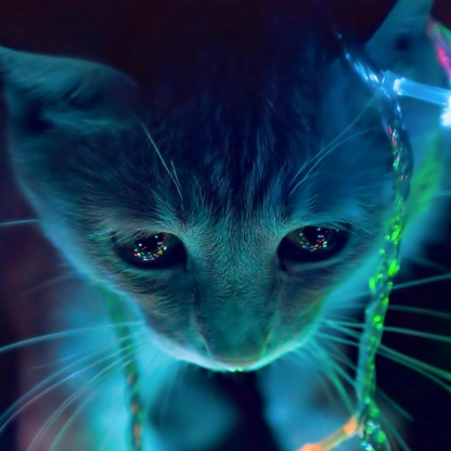 RandomBuzziness's avatar