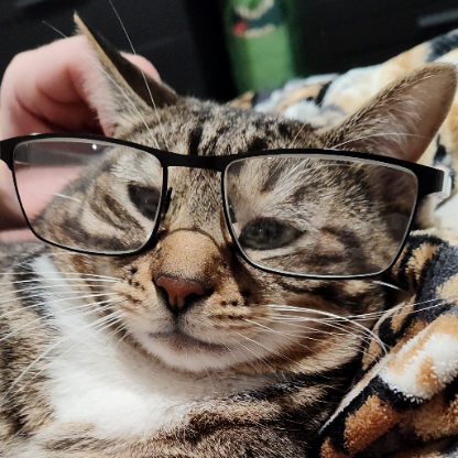 Walkertekeranger's avatar