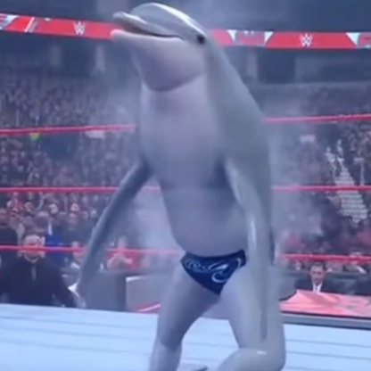 kamairuka114514's avatar