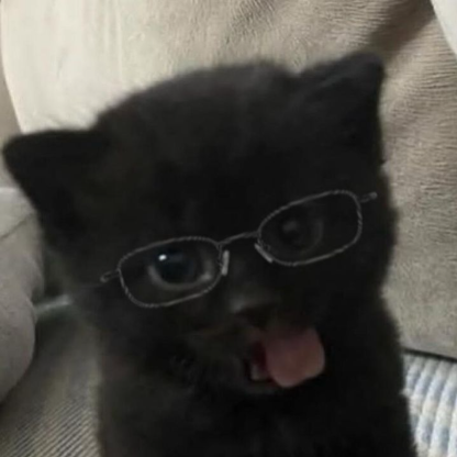 bmeeal's avatar