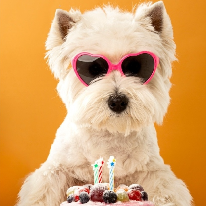 AerisValentineHV's avatar