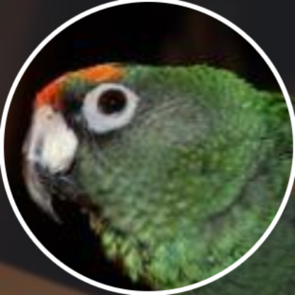 Captcanada11321's avatar