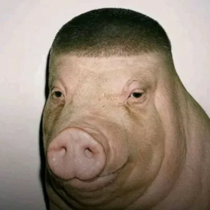 JaquaviousPork's avatar