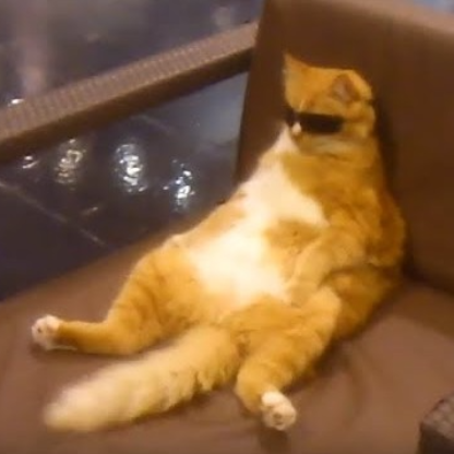 Chillphine's avatar