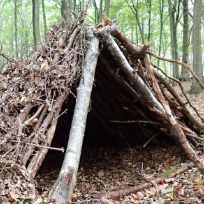 Bushcrafter2025's avatar