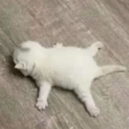 PrincessDoit81's avatar