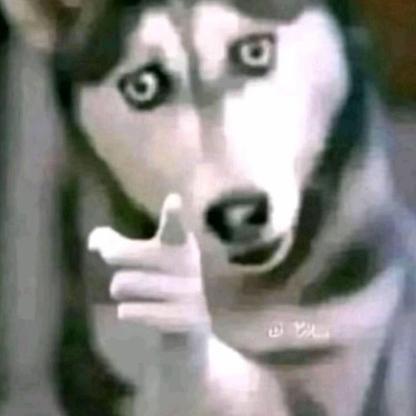 curacao1986's avatar