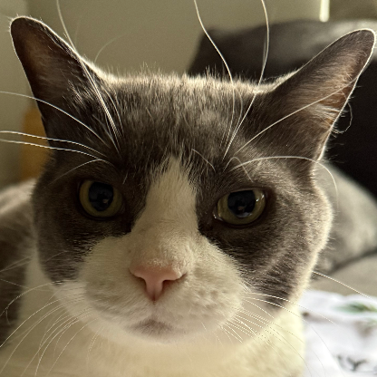 BakerpoolFC's avatar