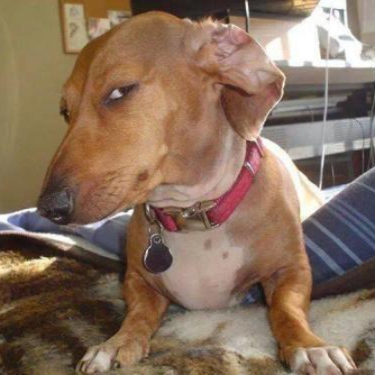 M83-Alpha6996's avatar