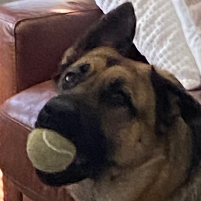 Block_121316's avatar