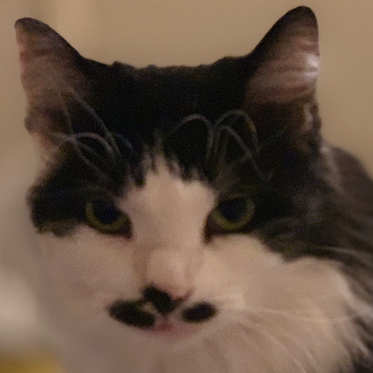 mikkimouse1978's avatar