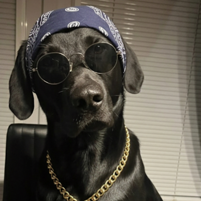 Hatchythegreat's avatar