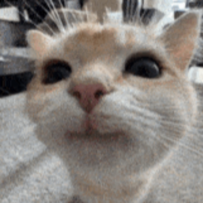 Kacperek12098234's avatar