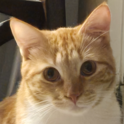 LeoCoolCat20's avatar