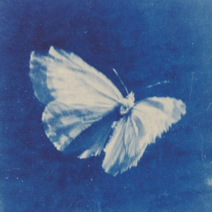 SeraphDrift's avatar