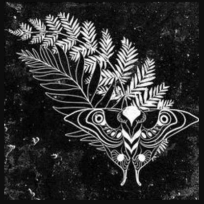 IRISHxCURSE_14's avatar