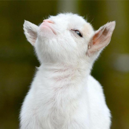 HowisThisFun's avatar