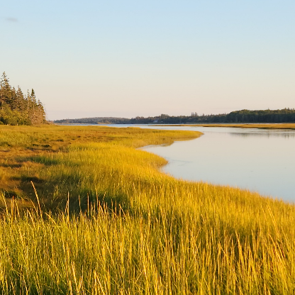 MattildaHubbardo's avatar