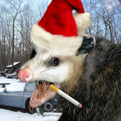 thetrashpossum's avatar