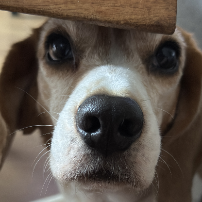 c190fc41cd98e324's avatar