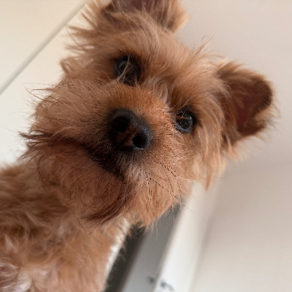 xiLeonidasx's avatar