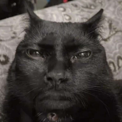 llicin's avatar