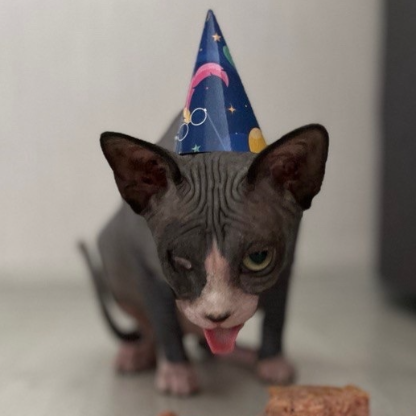 lll___iCat___lll's avatar