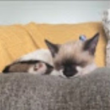 Luke_SkyWalkr9's avatar