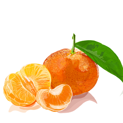 french_tangerine's avatar