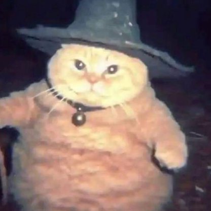 TheGreatWizCat's avatar