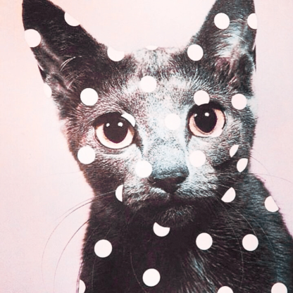 xbloomspells's avatar