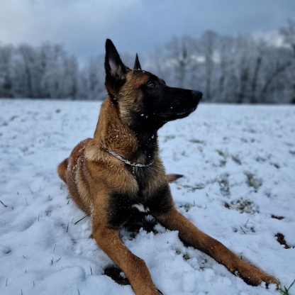 le-game-player94's avatar