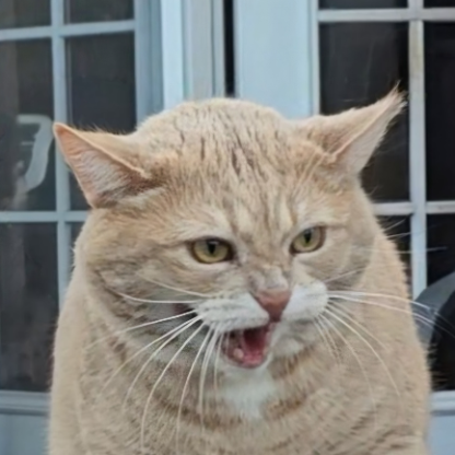 Old_buddy_ol_pal's avatar