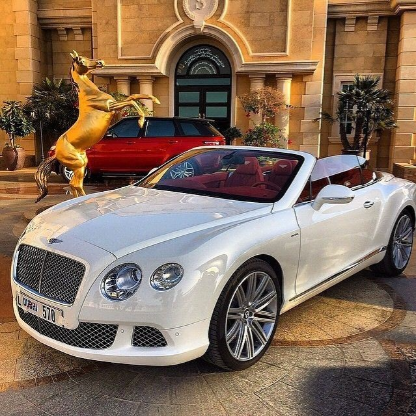 9p2fkzd7jgi9's avatar