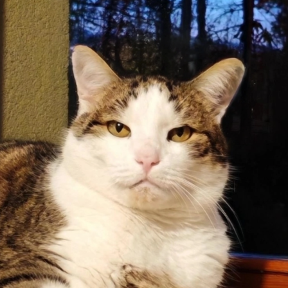 b502kyqmikeq's avatar