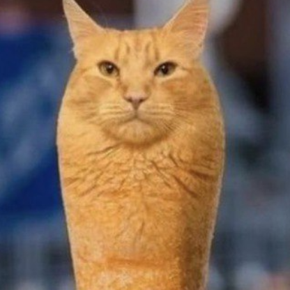 kraber20202010's avatar