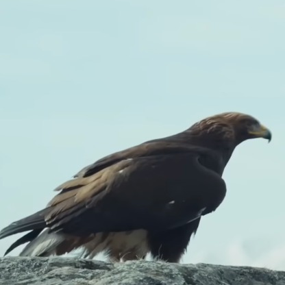 jona_du-eu's avatar