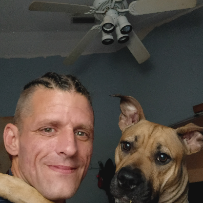 Beityisrael84's avatar