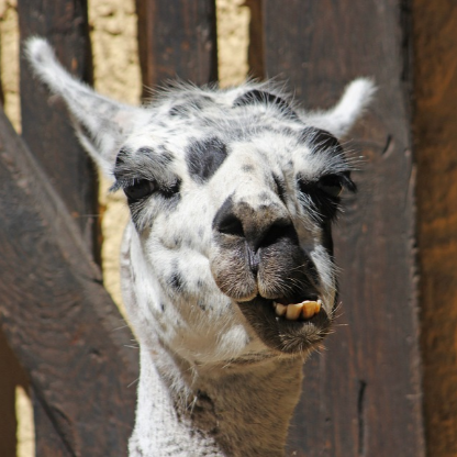 TanoDon1991's avatar