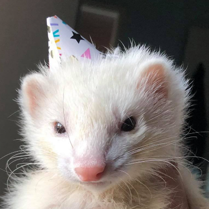 DoUHaveBlow's avatar