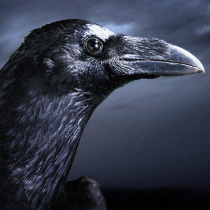 LMGGoDZiLLa's avatar