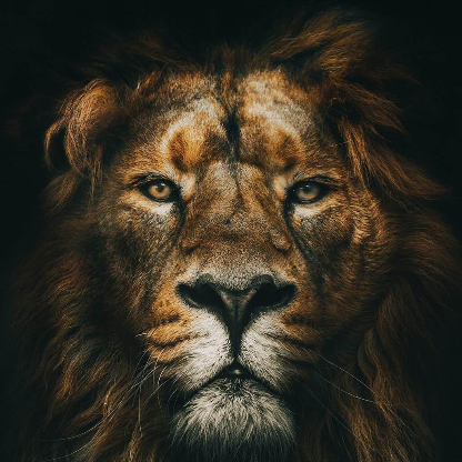 o1arda45bigting's avatar