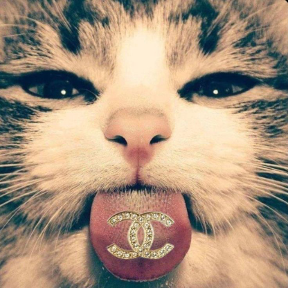 loulps61412's avatar