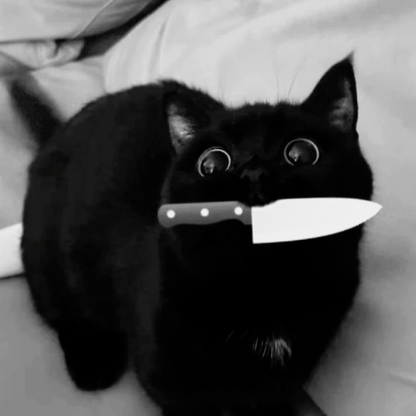 kayoggieboogie's avatar