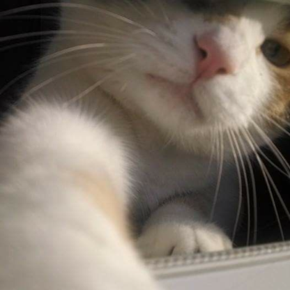 80CSC06RSF21RB23's avatar