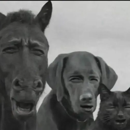 FearofMalik's avatar