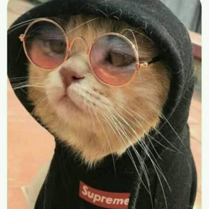 Kuduru_Gamer's avatar